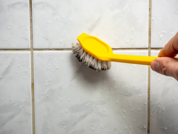 Best Mold Removal Company Near Me  in Macopin, NJ