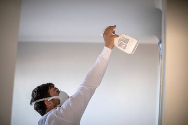 Best Affordable Mold Removal  in Macopin, NJ