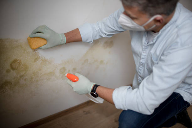 Best Attic Mold Removal  in Macopin, NJ